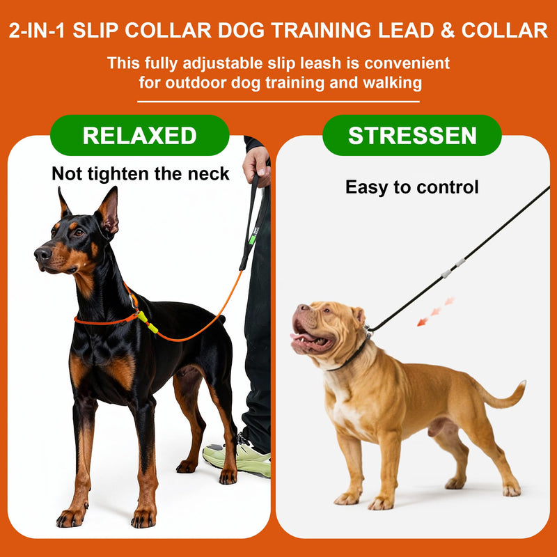 BeauGo|Dog Leash Slip Lead|Dog Training Lead,Trainer Rope Specifically Designed for DogTraining and NGKC Competition,Professional Dog Leash for Small Medium Large Dogs.Thin Slip Leads for Dogs 4 FT Training(4ft*1.2M Long? Dark green - PawsPlanet Australia