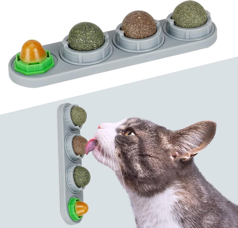 Catnip for Cats – 4 Herbal Mixes for All Breeds. Let Your Cat Enjoy Four Unique Blends Including Catnip, Silvervine, Insect Gall Fruit, and Isinglass. Perfect for Playtime, Relaxation, and Enrichment.