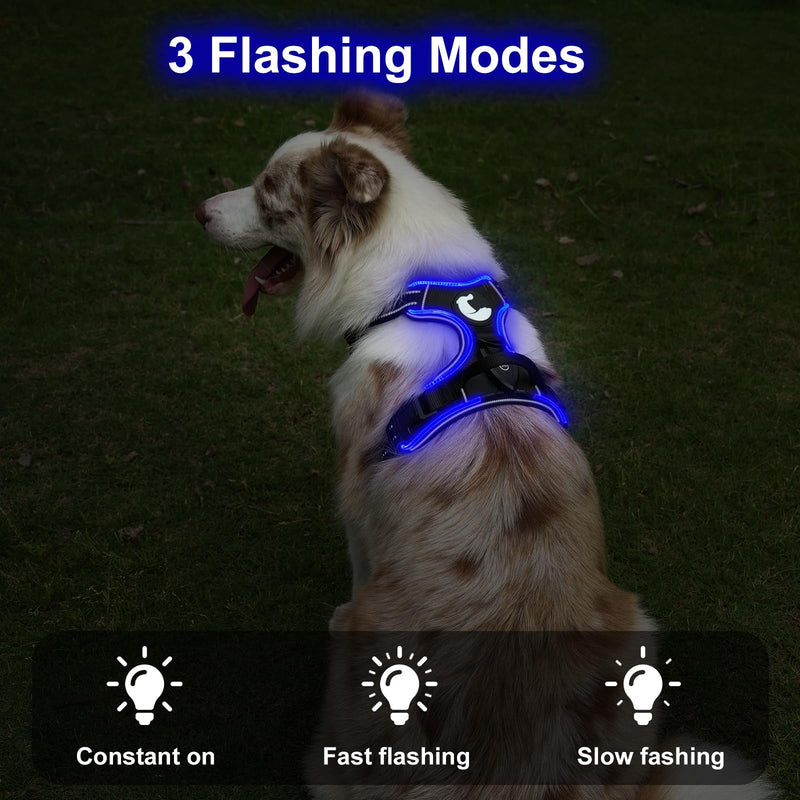 Taglory Light Up Dog Harness, Rechargeable No Pull Dog Vest with 3 Lightning Modes, Reflective Dog Harness with 2 Leash Clips & 4 Adjustable Slide Strips for Medium Dogs, Black-Blue, M - PawsPlanet Australia