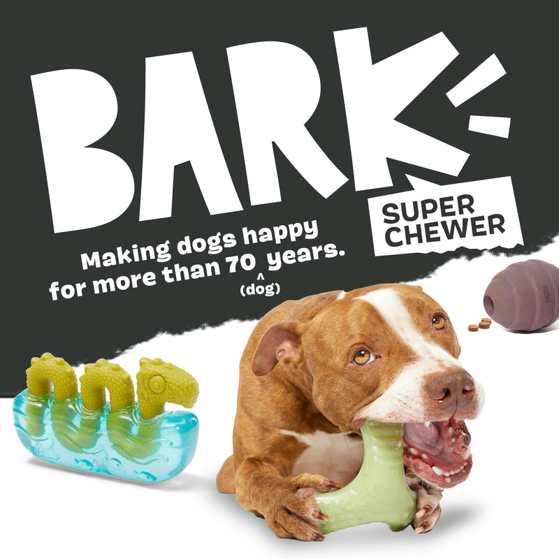 Barkbox Pupkin Spice Latte Plush Dog Toy – Plush Dog Toys – Puppy and Pet Toys for Medium to Large Dogs M/L - PawsPlanet Australia