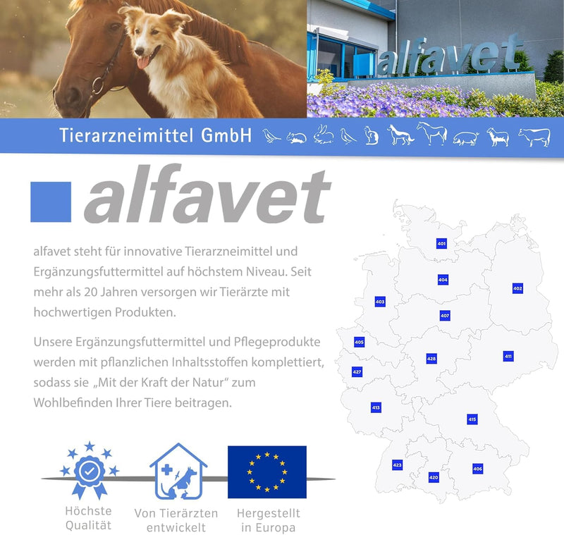 alfavet VulnoCyn Hydrogel 350 ml - Skin & Wound Spray for Small Animals, Horses & Farm Animals - Wound Spray Against Bacteria, Viruses & Fungi - Hydrogel with Long-Lasting Effect, pH Neutral & Alcohol Free