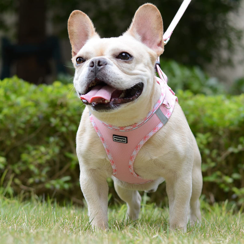 Mercano Soft Mesh Dog Harness and Leash Set, No-Chock Step-in Reflective Breathable Lightweight Easy Walk Escape Proof Vest Harnesses with Safety Buckle for Small Medium Dogs, Cats (Pink, S) Pink - PawsPlanet Australia
