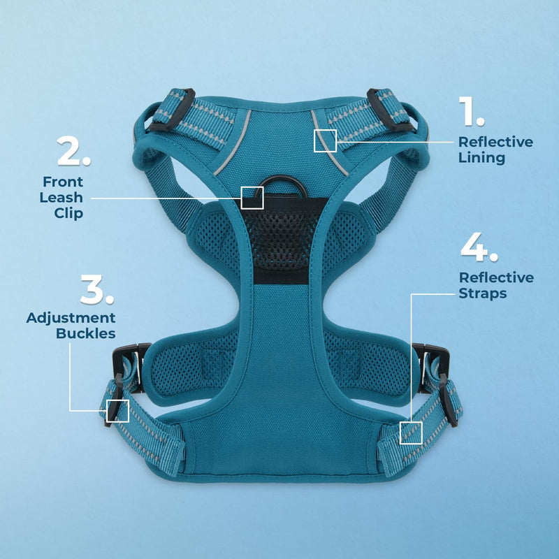 Voyager Dog Harness Dual Leash Attachment No-Pull Control Adjustable Soft but Strong Pet Harness for Medium and Large Dogs with 3M Reflective Technology, Leash Set Turquoise Nylon, S (Chest: 16-20") S (Chest: 16 - 20") - PawsPlanet Australia