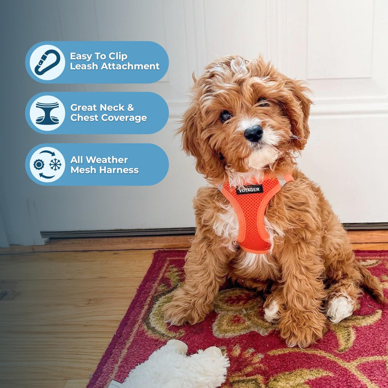 Voyager Step-In Air Dog Harness by Best Pet Supplies - All Weather Mesh Step in Vest Harness for Small and Medium Dogs, Orange, size L - Chest: 18 - 20.5" Harness (Orange) L (Chest: 18 - 20.5")