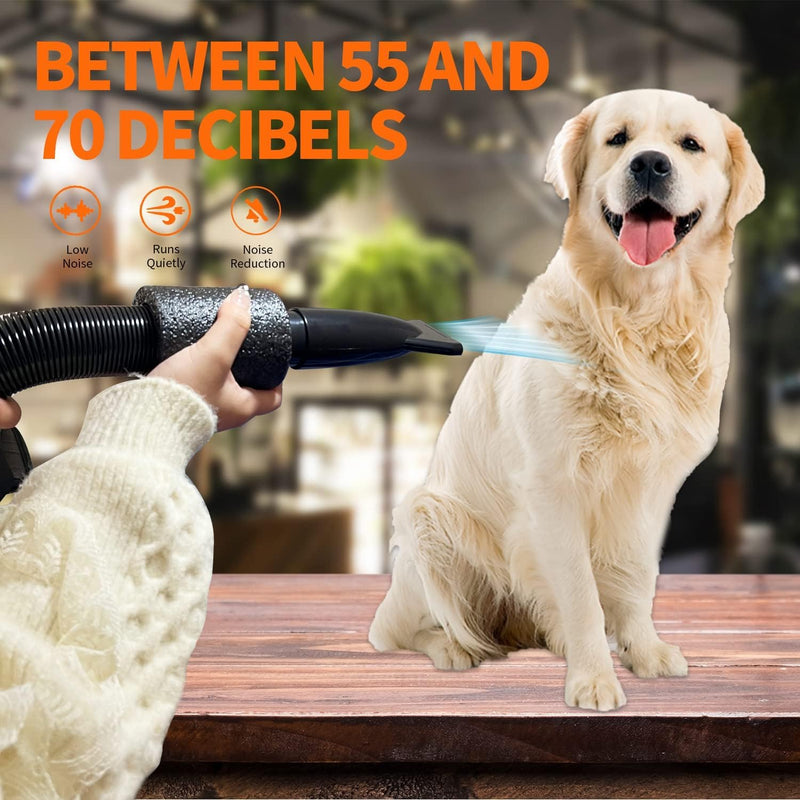 High Velocity Professional Dog Grooming Dryer,Dog Hair Dryer,Adjustable Temperature and Speed,with 4 Nozzles,Perfect for Pet Grooming at Home - PawsPlanet Australia
