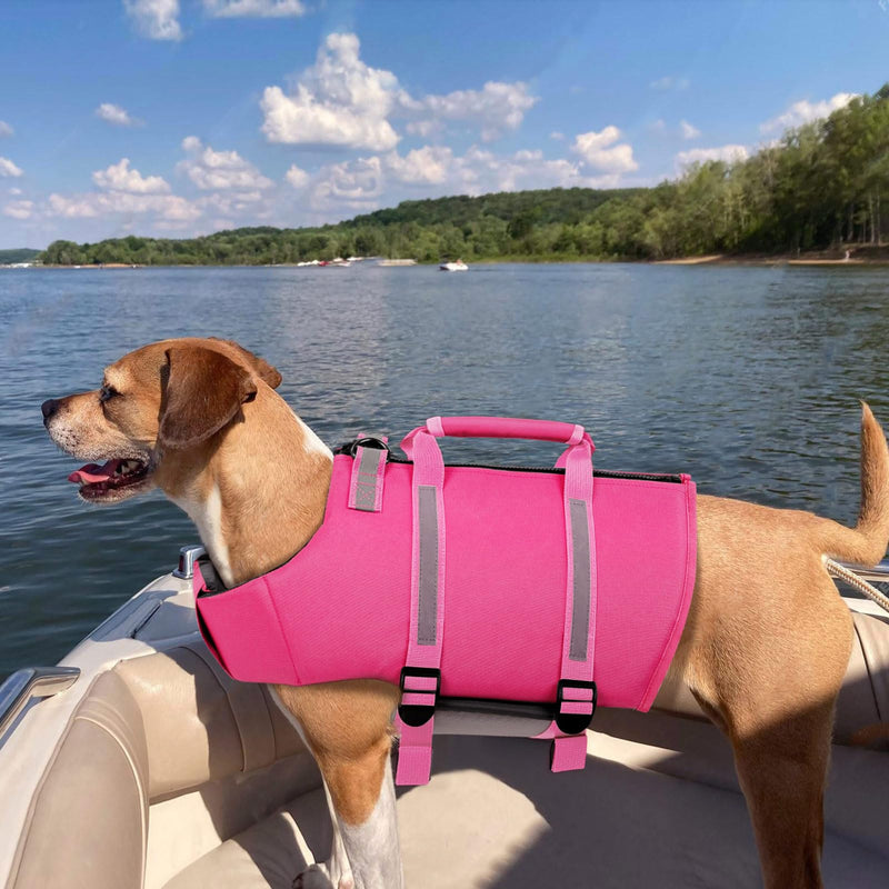 Queenmore Medium Dog Life Jacket,Dog Life Vest for Swimming,Dog Floating Vest for Boating,Pet Puppy Lightweight Adjustable Reflective Lifesaver Vest with Back Zip,Rescue Handle,Leash HooK(Fuchsia M) Fuchsia