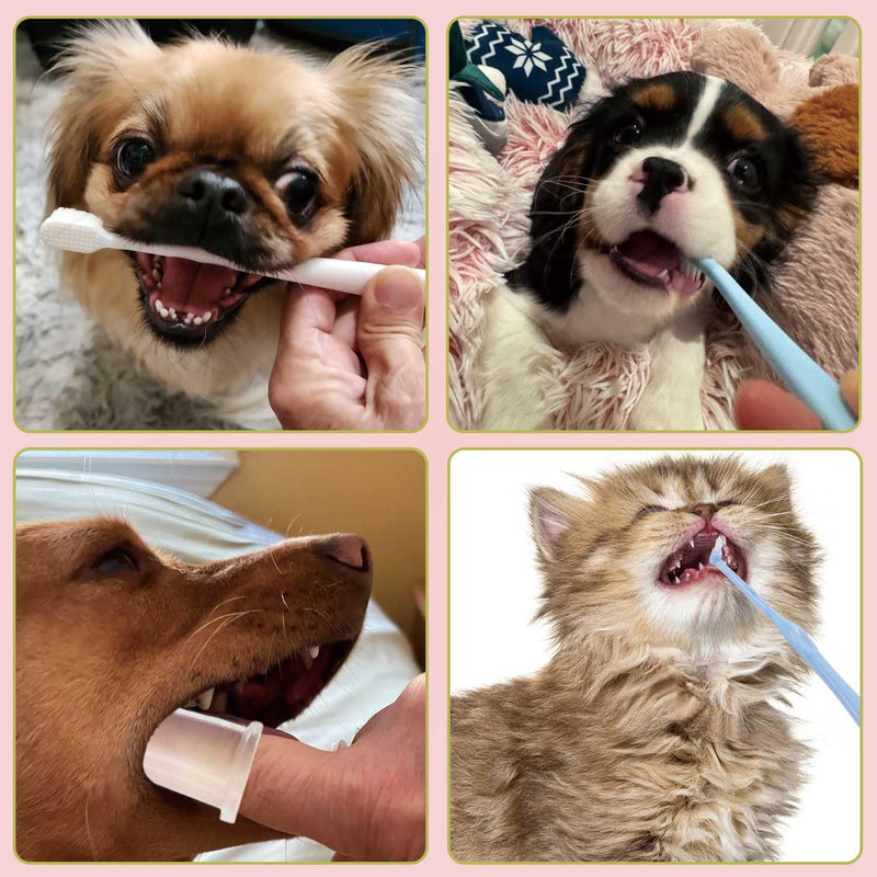 Dog Toothbrush Set,Finger Rubber Toothbrushes/Double Head Pet Tooth Brush/Triple Head Dog Toothbrushes/360º Cat Toothbrush/Multi-Angle Dental Cleaning Brushes Kit for Puppy Kitten Oral Hygiene,8 Pack - PawsPlanet Australia
