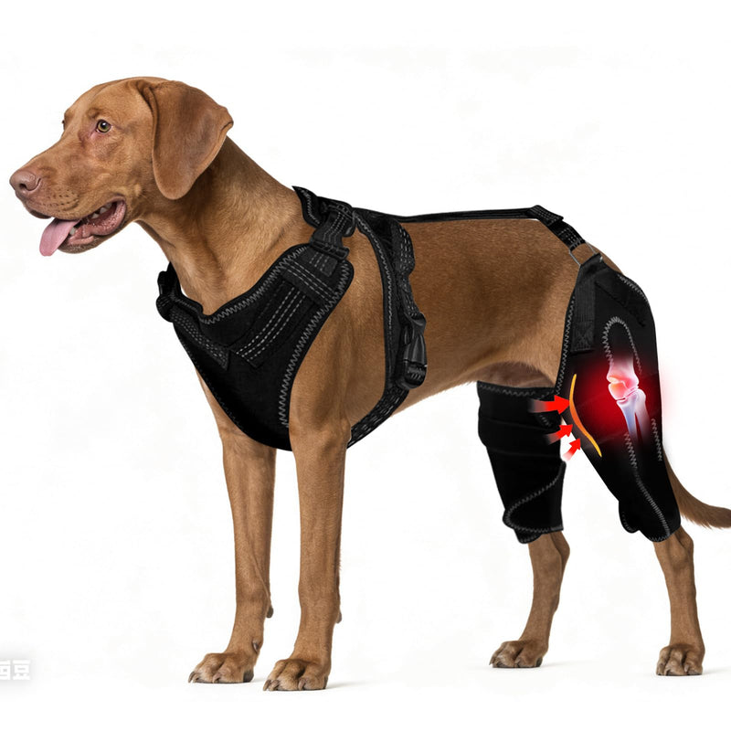 Dog Knee Braces for Back Leg, Adjustable Dog Leg Braces for Torn ACL Hind Leg with Metal Stabilizers, Better Recovery Knee Brace for Rear Leg Cruciate Ligament Injuries & Hip Dysplasia, XL
