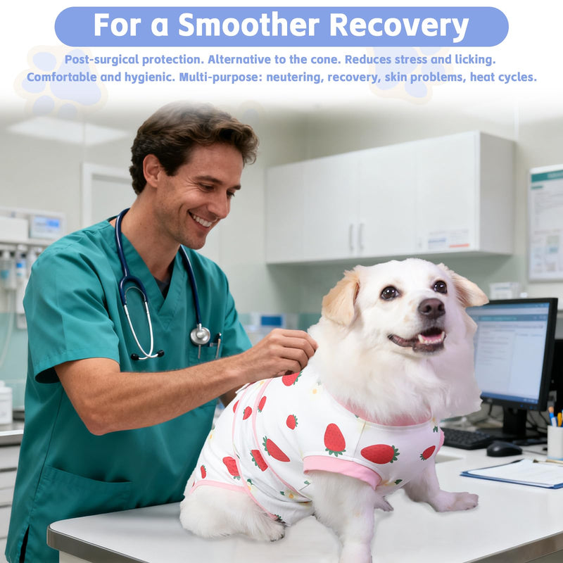 PET Glam Recovery Suit for Dogs Cats, After Surgery, Alternative E-Collar Dog CAT. PET Shirt Breathable Abdominal Wounds, Neuter Cotton, Prevent Licking Onesie Surgical (RED, S) RED Small