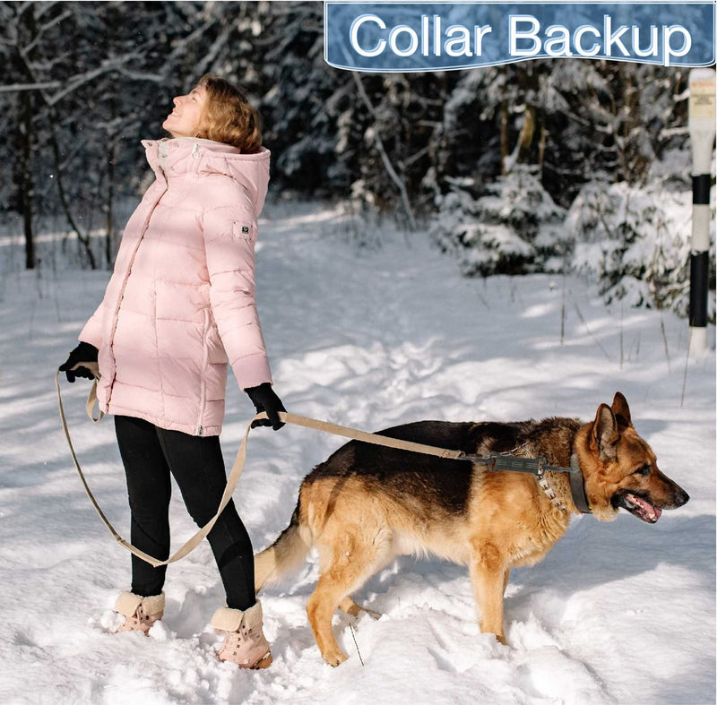 Dog Collar Clip Dog Safety Leash Clip for Prong Collar Backup Dog Harness to Collar Safety Clip 5 pcs Reflective Dog Leash Connector Double Ended Backup Clasp - PawsPlanet Australia