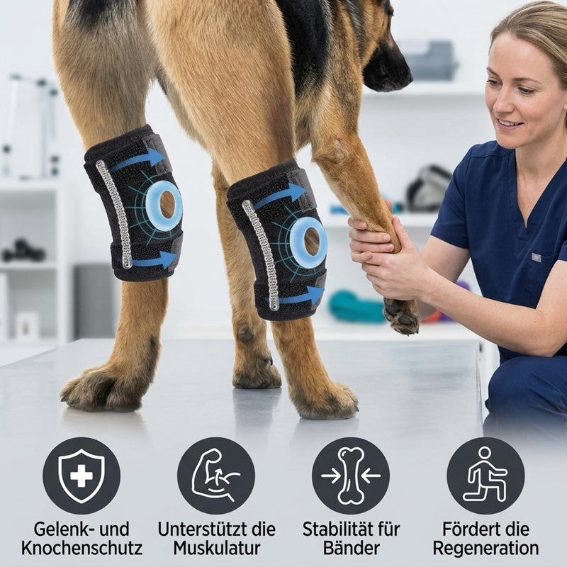 Knee brace for dog hind leg, lick protection for dog hind leg for joint and bone protection, support during arthritis and rehabilitation, dog hind leg brace in size M 18x13x1.5 cm