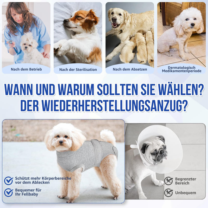 Eyein Dog Bodysuit for After Surgery, Wound Protection Suits for Male/Female Dogs, with Zip and Velcro Fastening, Anti-Licking Wound Protection, Breathable Onesie (Grey, XXL) gray