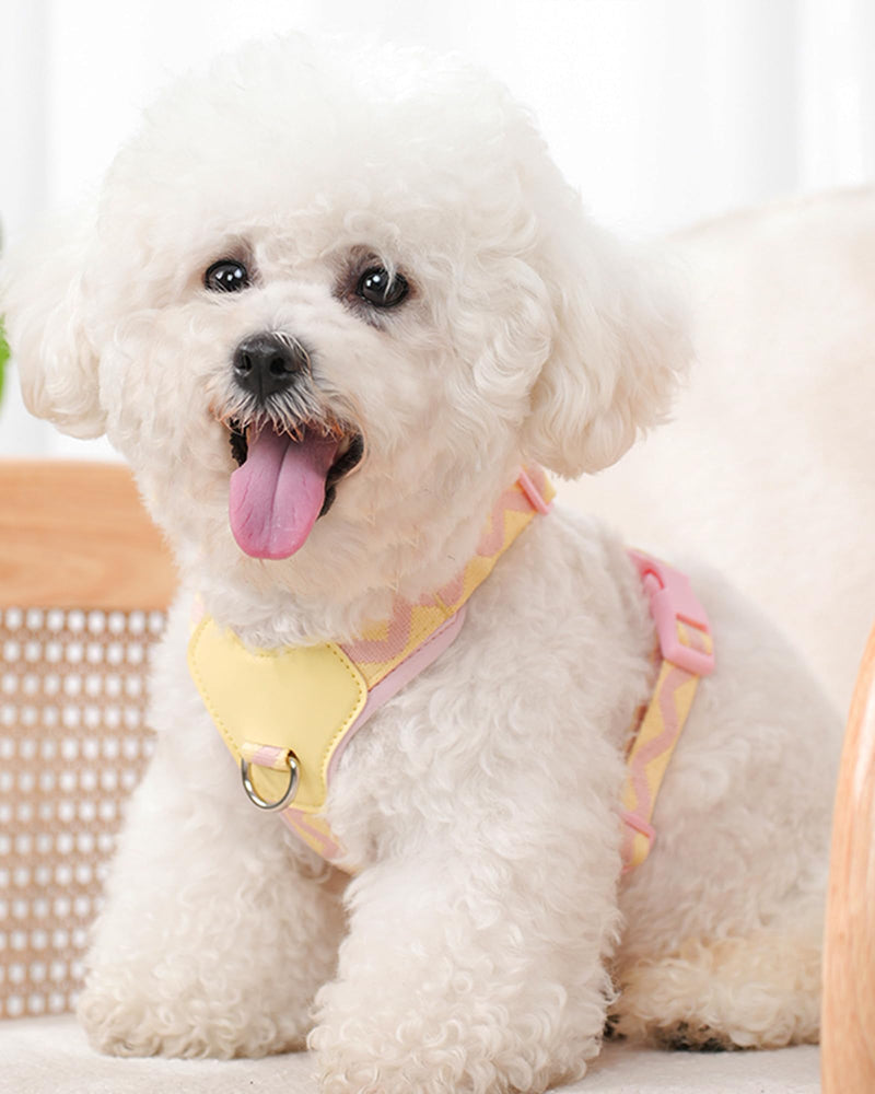 Petank Pink Small Dog Harness for Small Dogs, No Pull Dog Harness with 2 Leash Clips, Puppy Harness for Small Dogs, Adjustable Dog Vest Harness (Pink, S) - PawsPlanet Australia
