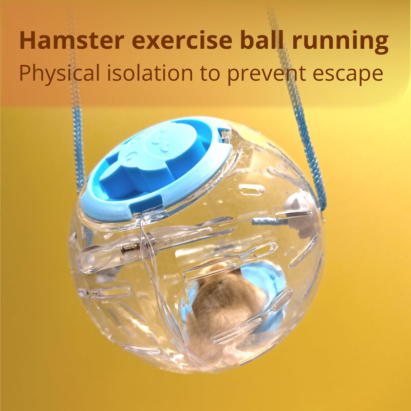 4.9" Hamster Wheel, Exercise Ball & Wheel - Silent Running Toy with Anti-Skid, Transparent Hamster Ball, Breathable Design & Rope for Easy Carry, for Little/Dwarf Mouse, Blue 4.9 - PawsPlanet Australia