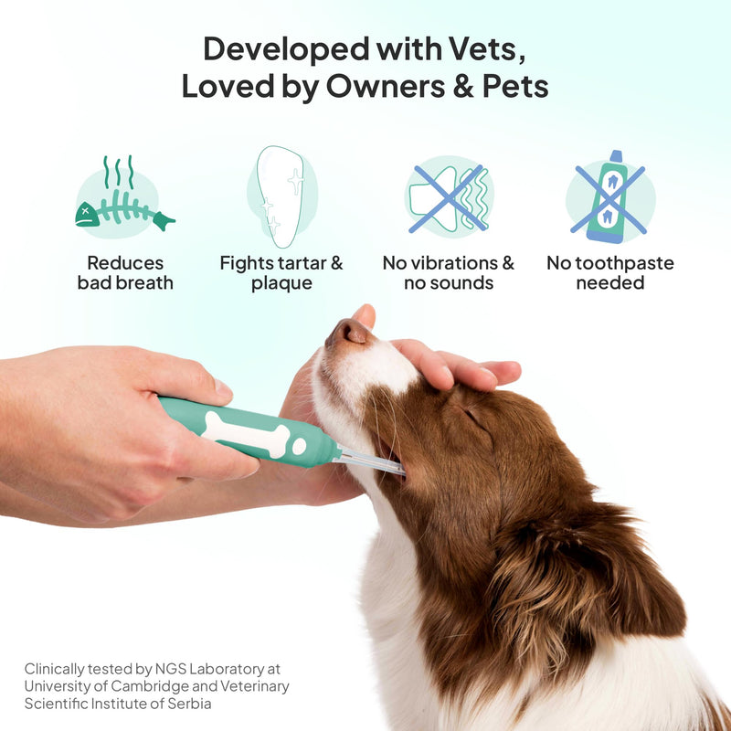 Dog Toothbrush Replacement Heads | 2 Pack | Replace Every Three Months | Reduces Bad Breath | Compatible with Petsie Toothbrush Only (White, Small Dogs) White - PawsPlanet Australia