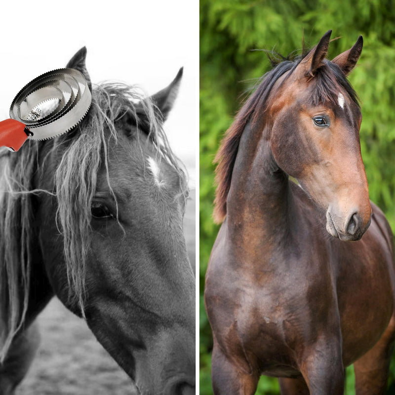 Reversible stainless steel curry comb. With Soft Touch Handle with Large Rubber Curry Comb, Multifunctional Stainless Steel Fine Tooth Comb, Pet Horse Grooming Comb for Dogs and Cats (Red) Red - PawsPlanet Australia