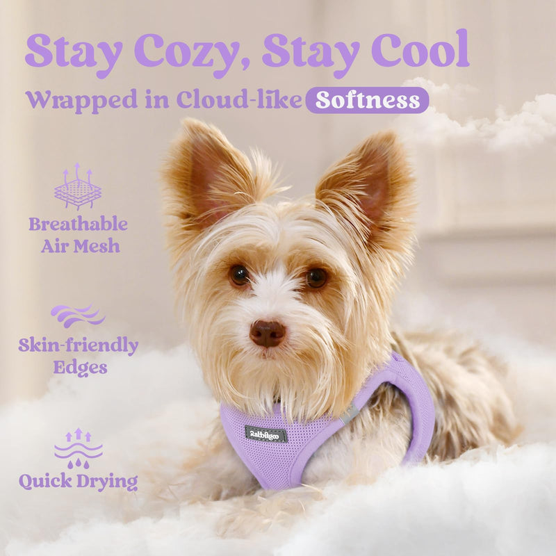rabbitgoo Dog Harness Small Dog, Step-in Soft Mesh Puppy Harness with Reflective Strips, Lightweight Breathable Pet Vest for Walking Training, Light Purple, M