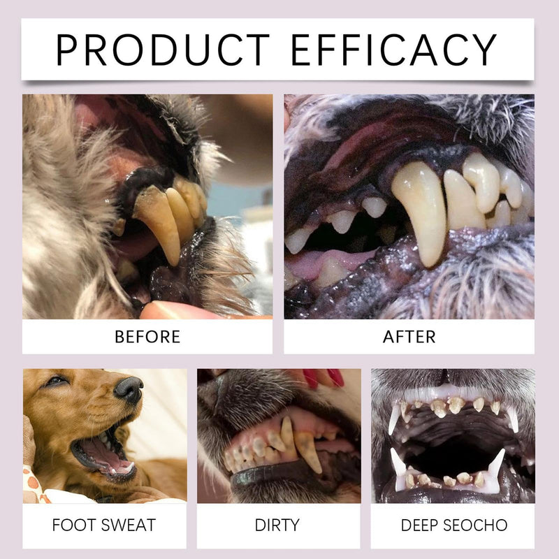 Pet Toothbrush Pen, 2 x 3 ml Dog Teeth Cleaning Pen Pet Teeth Repairing Kit, Cat/Dog Tooth Whitening & Cleaning Teeth Brightening Pen for Dog Cats Care Fresh Breath