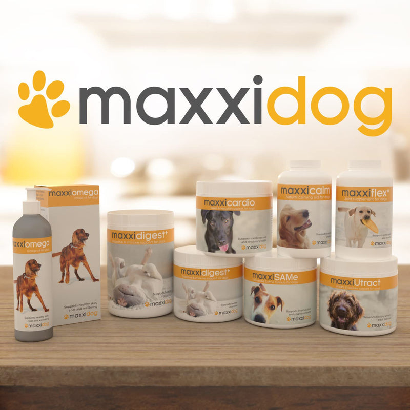 maxxipaws - maxxiflex+ Hip & Joint Supplement for Dogs with Glucosamine, Chondroitin, MSM & Collagen | Mobility, Flexibility & Discomfort Support | Senior, Adult & All Breeds | 120 Tablets 120 Count (Pack of 1) - PawsPlanet Australia