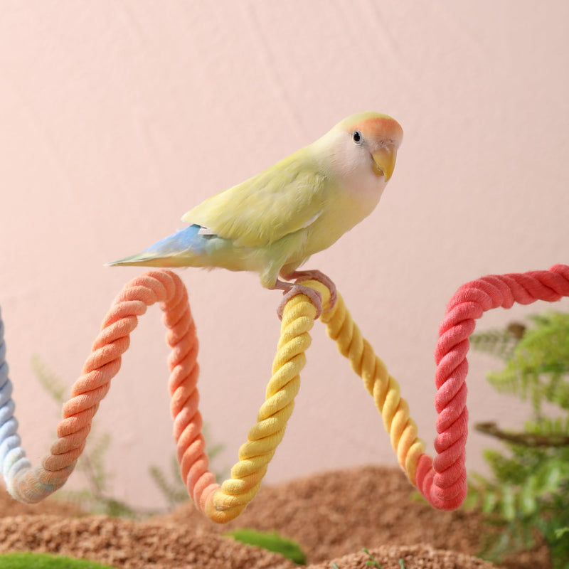 Multi-Color Rope Bird Perch Toys for Parrot Cage Stand, Climbing Swing Accessories for Cockatiel, Parakeets, Budgies, Lovebirds, Conures, Finches - 39.4 inch - PawsPlanet Australia