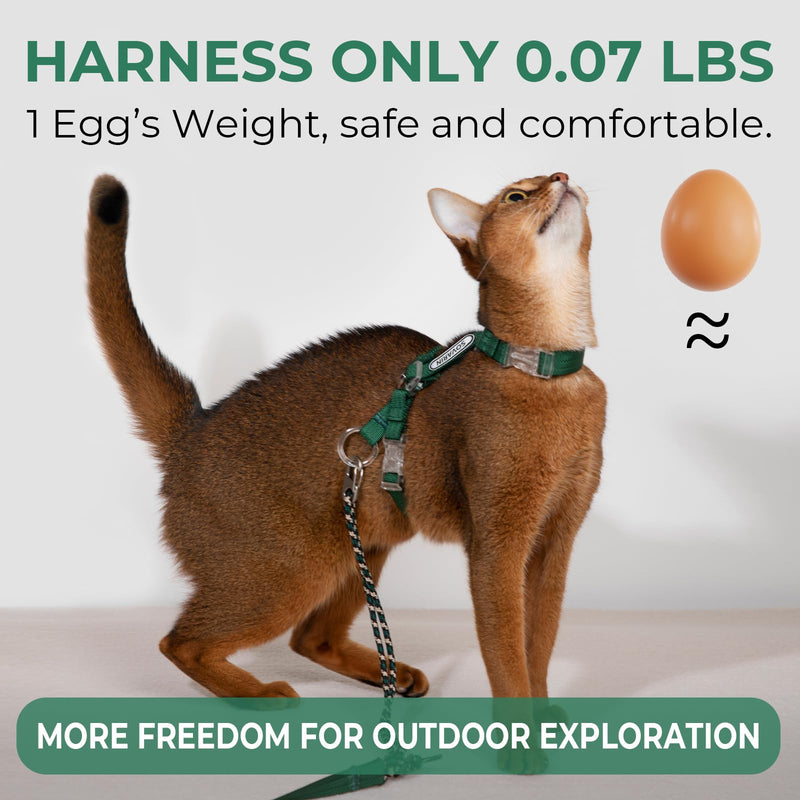 Cat Harness and Leash Set - Green Lightweight Soft Kitten Harness Escape Proof, Adjustable Travel Pet Harness for Walking，Easy Control Comfortable Outdoor (Green, One Size Fits All) - PawsPlanet Australia