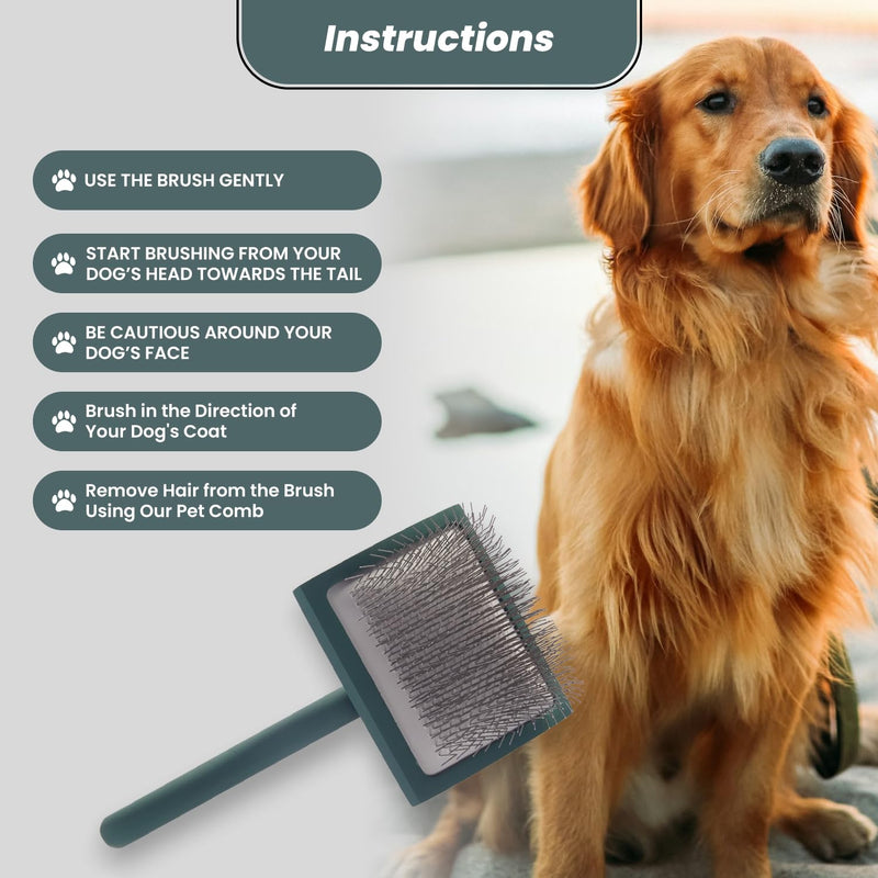 Self- Cleaning Slicker Brush for Dogs Suitable for Short & Long Haired Dogs and Effective Deshedding for Pet Grooming, Undercoat Removal, Tangle-Free Fur (Green Brush + Comb) Large - PawsPlanet Australia