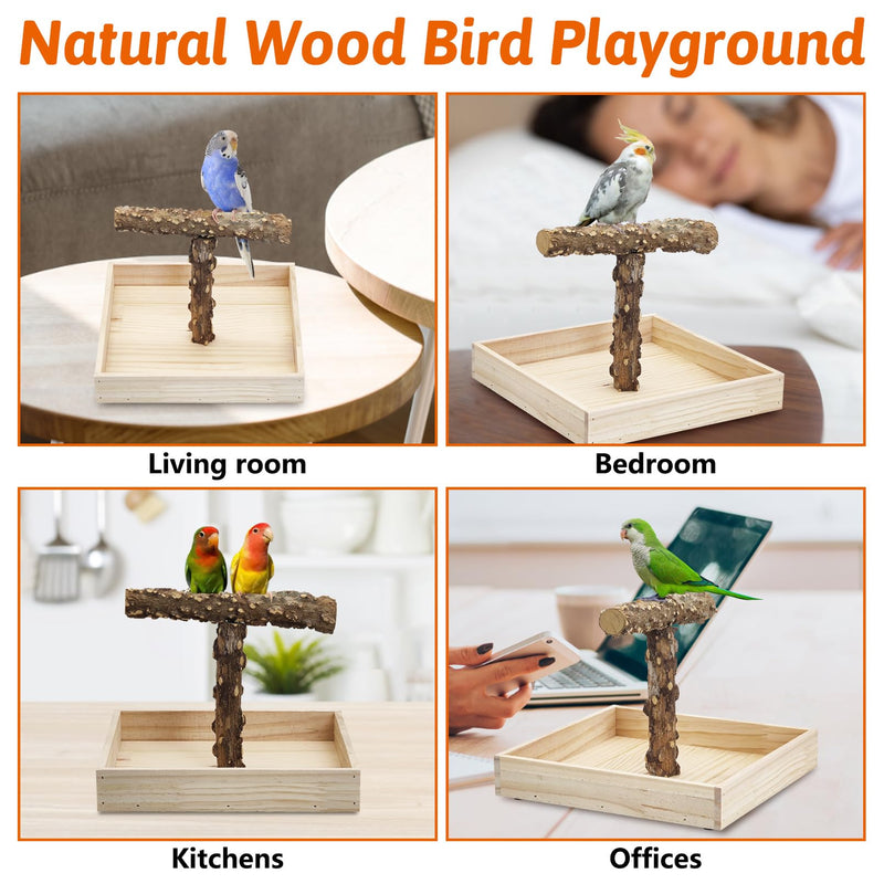BNOSDM Portable Bird Perch Stand with Potty Tray, Natural Wood Tabletop Training Gym Parrot Playground Toy for Budgies, Cockatiels, Lovebirds,Conures 1. T-Shaped Bird Stand