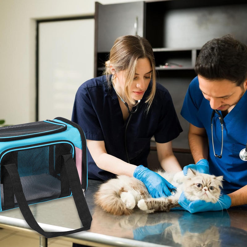 Cat Carrier, Dog Carrier, TSA Airline Approved Pet Carrie for Small Medium Cats, Dog Puppy Carriers for Small Dogs (Blue&Pink, One Size) - PawsPlanet Australia