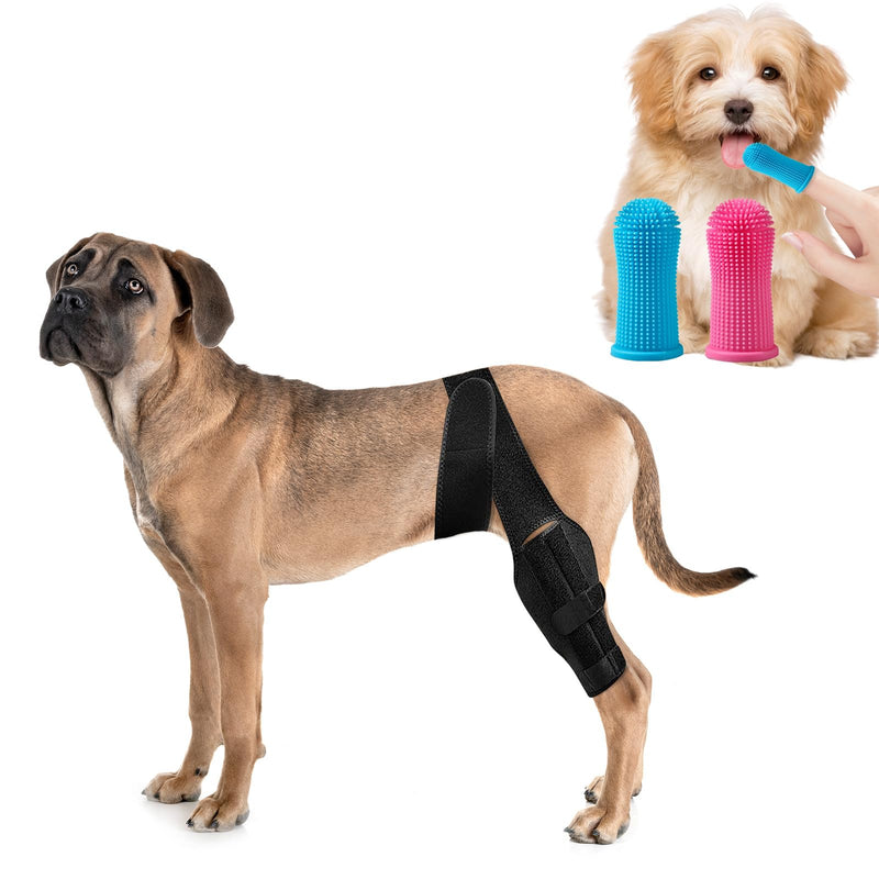Black Dog Knee Brace for Hind Leg Adjustable Dog Leg Support Back Leg for Joint Pain Relief Arthritis Luxating Patella for Puppy with touthbrushes XS