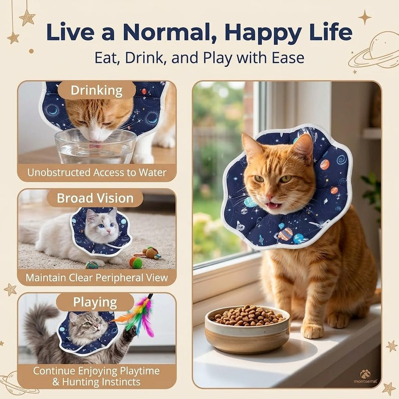 Soft, waterproof neck brace for cats and dogs to prevent licking after surgery, adjustable alternative to cat collars and cones (Size L)
