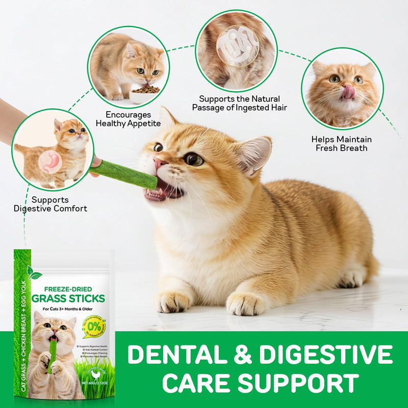 Cat Grass Sticks, Cat Grass Teething Sticks, Natural Oral Hygiene, Cat Treats for Teeth Cleaning and Hairball Removal - 60g