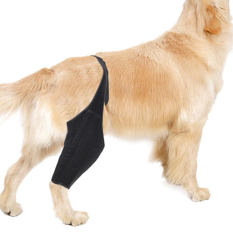 Dog Hip Support | Dog Leg Protection - Metal Strip Rear Leg Support - Breathable Rear Leg Support for Large Dogs Black M