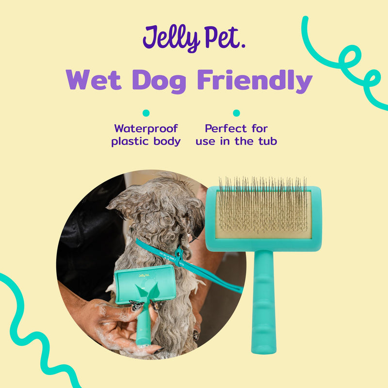 Jelly Pet Universal Slicker Brush for Dogs, Dog Grooming Brush, Remove Tangles and Dead Undercoat, Tuffer Than Tangles, Maltese Shi-Tzu Poodle Bichon, Firm Pins, Teal, Small Small (2.5 in x 4 in) - Pins (Firm) - PawsPlanet Australia