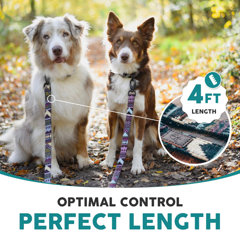 Embark Urban Dog Collar and Leash Set – Mayan Dog Collar for Small Dogs with Strong Buckle and Matching 4 Ft Leash, Waterproof, Comfortable, and Perfect for Adult Dogs - PawsPlanet Australia