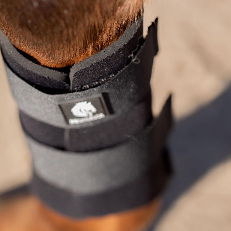 Equinavia Balder Brushing Boots for Horses – Full-Coverage Neoprene Leg Protection – Durable Strike Pad – Easy Care – Sizes S to XL - Black - M