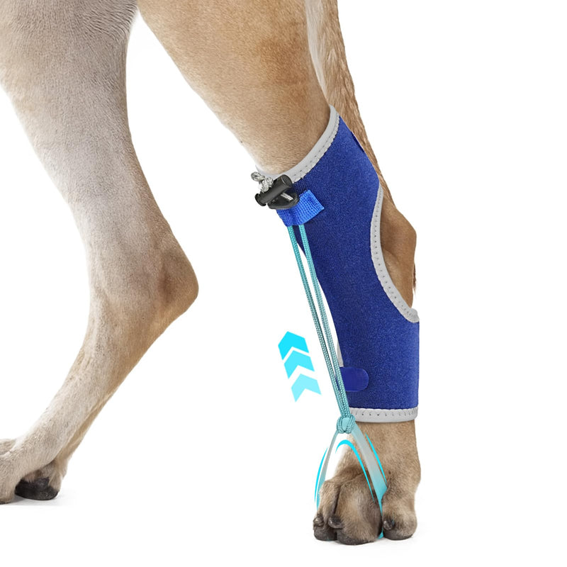 Dog Knuckling Braces Wrap for Hyperflexion of Phalanges Cause by Sciatic Nerve Damage & Carpal Flexural Deformity - Dual Locking Straps for Safe Adjustable Toe Lift Support (Blue, X-Large) Blue