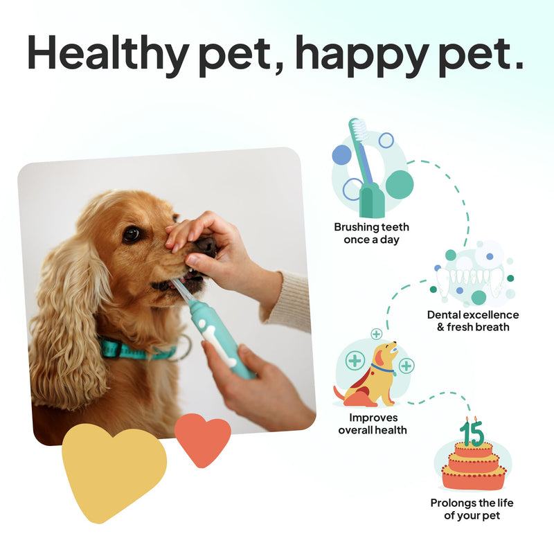 Dog Toothbrush Replacement Heads | 2 Pack | Replace Every Three Months | Reduces Bad Breath | Compatible with Petsie Toothbrush Only (White, Small Dogs) White - PawsPlanet Australia