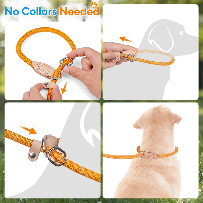 Grand Line Slip Lead Dog Leash - No Pull Training Dog Lead with 5ft Reflective Rope, Durable & Collar-Free for Small, Medium, Large Dogs and Puppies (Purple,M) Purple Medium-2/5in x 5ft - PawsPlanet Australia