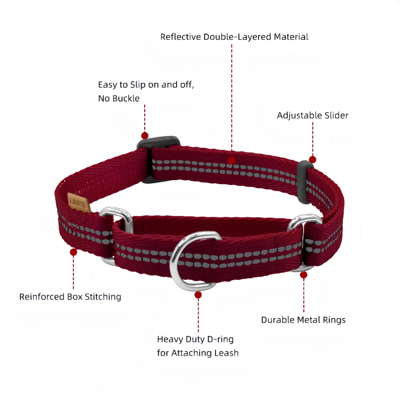 Adjustable Nylon Reflective Martingale Dog Collar for Training and Walking (Red, M (Neck: 15"-22", Width: 3/4")) M (Neck: 15"-22", Width: 3/4") Red - PawsPlanet Australia