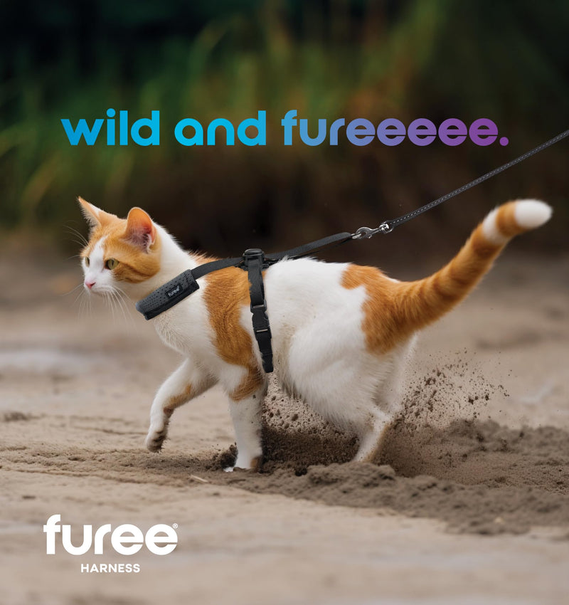 Push-Button Adjustable Harness for Cats, Escape-Proof, Non-Bulky, Anti-Flop Over, Fully Adjustable Harness for Pets, Also for Small Dogs, Bunnys, and Ferrets for Leash Walking (Medium) Medium - PawsPlanet Australia
