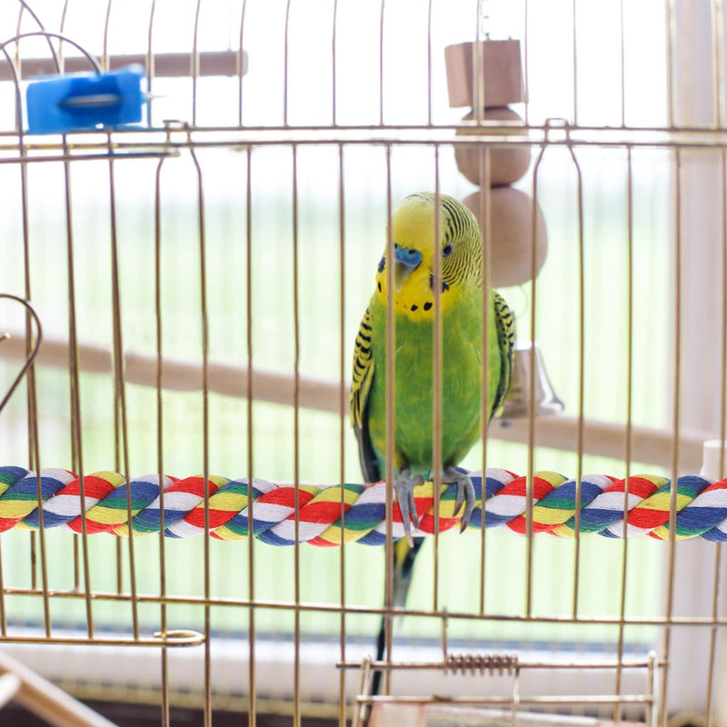 Colorful Bird Rope Perch Stand, Birdcage Swing Spiral Toys, Bird Bungee Rope Perches Toys Cage Accessories for Cockatiels Parrot Birds (60CM/23.6inch) 60CM - PawsPlanet Australia