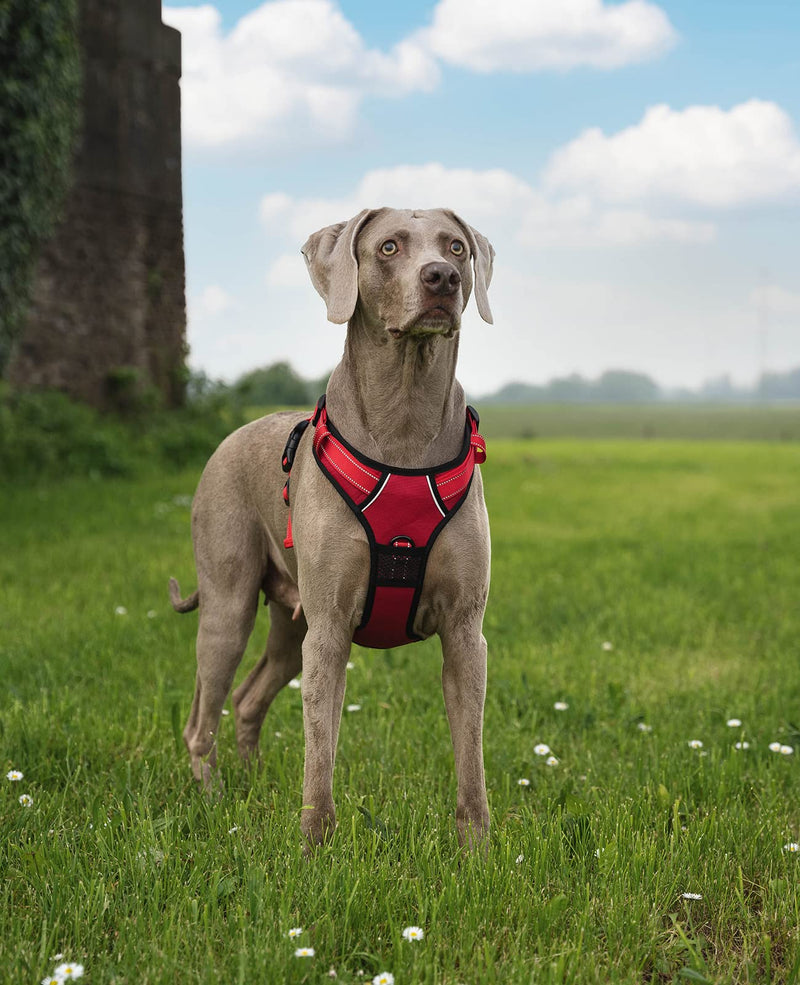 lionto Dog Harness Padded Anti Pull Reflective Safety Harness Adjustable Size XL Red
