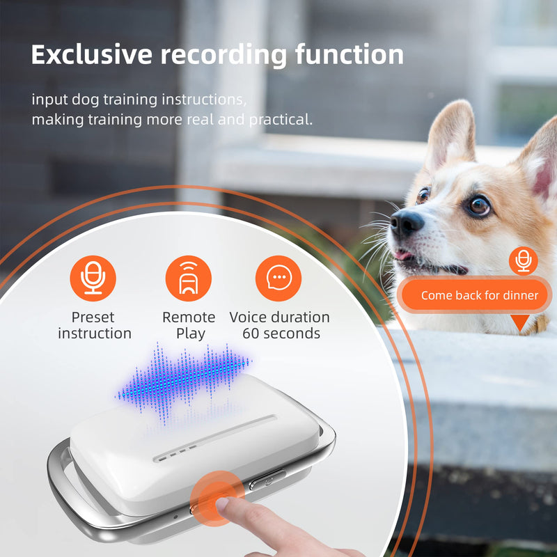 Recording Dog Shock Collar Waterproof Rechargeable E-Collar for Dogs with 16 Levels Beep Vibration Shock Electric Dog Training Collar with Remote - PawsPlanet Australia