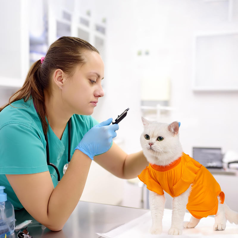 Avont Cat Recovery Suit - Post-Surgery Onesie for Cats, Alternative to Cone of Shame, Protective Spay Suit for Female Kitten, Ideal for Healing and Skin Conditions -Orange(S) Orange Small - PawsPlanet Australia