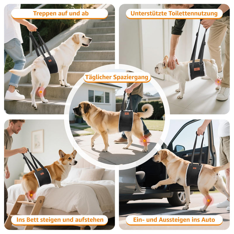Dog Harness Dog Carrier Adjustable Walking Aid Dog Stairs Dog Rear Lift Support Harness Small, Medium and Large Dog Rehabilitation Carry Strap for Spinal Cord Infarction Osteoarthritis L