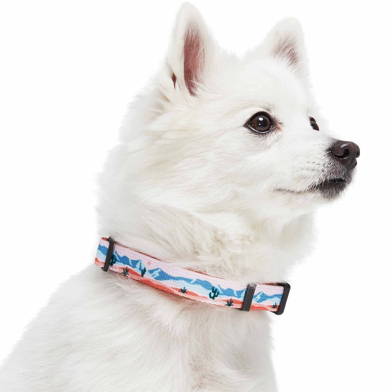 Blueberry Pet Mountain Climbing Fun Adjustable Dog Collar, Large, Neck 18"-26" Mountain - Collar - PawsPlanet Australia