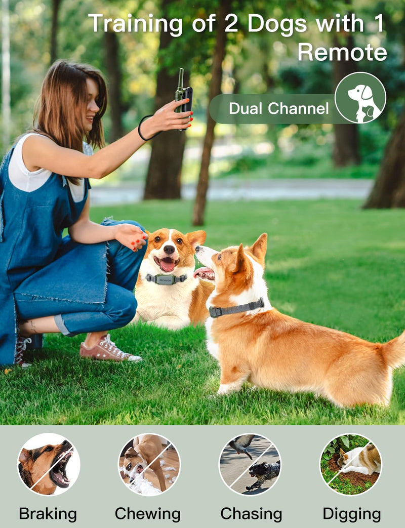 Dog Shock Collar 2 Dogs - 3300 ft Waterproof Dog Training Collar with Remote, 3 Modes Electric Dog Training Collar for All Breed Sizes,Beep/Vibration/Humane Shock (1-16 Levels) Avocado Green 2-Pack - PawsPlanet Australia