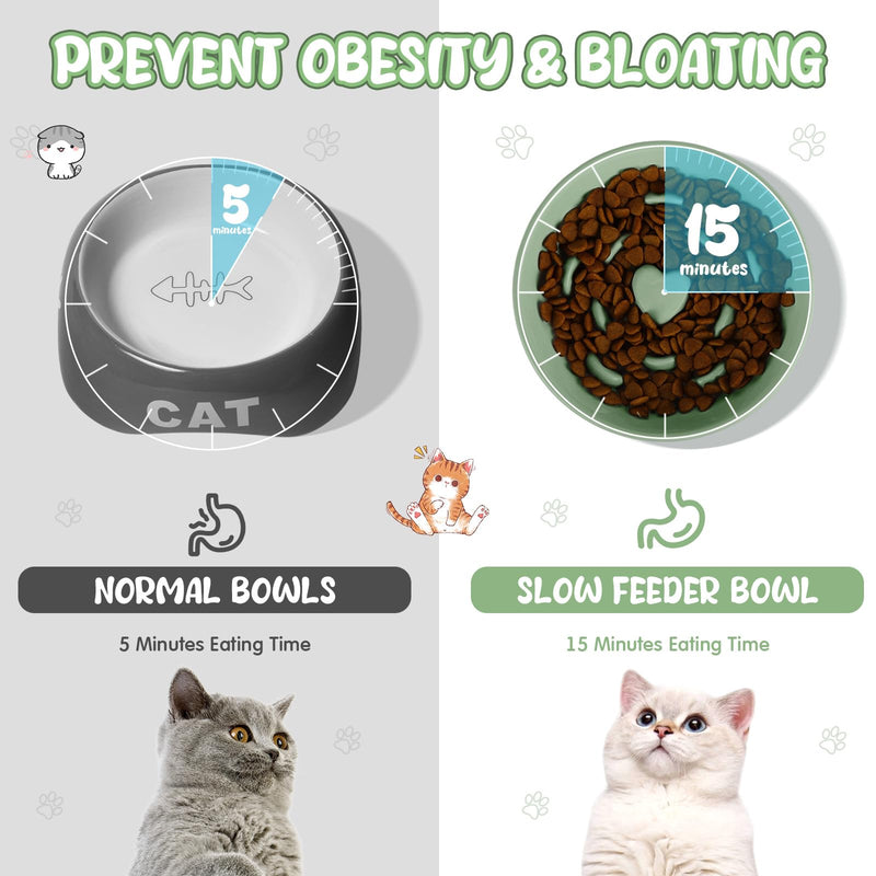 Tioncy Ceramic Slow Feeder Raised Cat Bowl Elevated Cat Bowls Anti Vomit Dry Wet Food and Water Bowl Easy to Clean Pet Bowls High Edge for Cats Small Dogs, Kitten Home, Dishwasher Safe(Sage Green) Sage Green - PawsPlanet Australia
