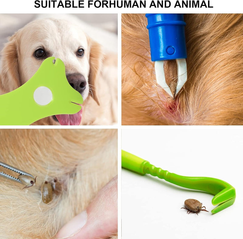 Tick Removal Tool 8 in 1 with Storage Box, Tick Tweezers, Flea Comb, Magnifying Glass, Dog Tick Remover Tool Tick Removal Kit Tick Removal Tool for Dogs Cats Pet Tick Comb (Tick Removal Tool 8 in 1) Tick Removal Tool 8 in 1 - PawsPlanet Australia