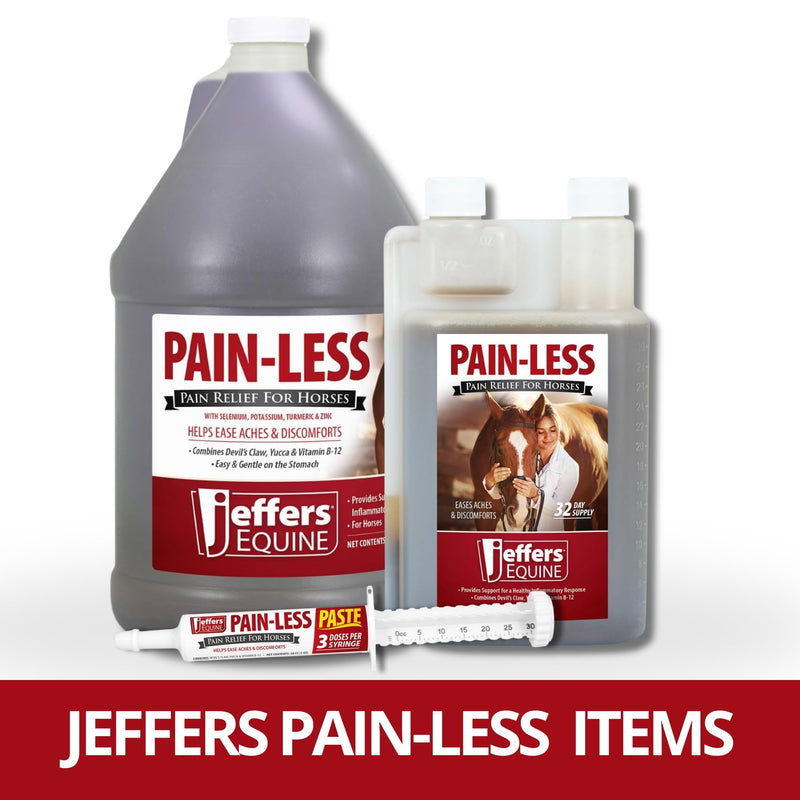 Jeffers Equine Pain-Less Paste for Horses – 30cc Easy Dose Syringe – Support Healthy Inflammatory Response, Comfort – Devil’s Claw, Yucca, and Vitamin B-12 – Gentle on Stomach – Made in The USA 1 fl oz